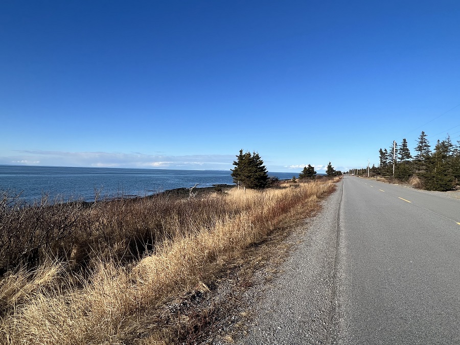 Shore Road - Port George