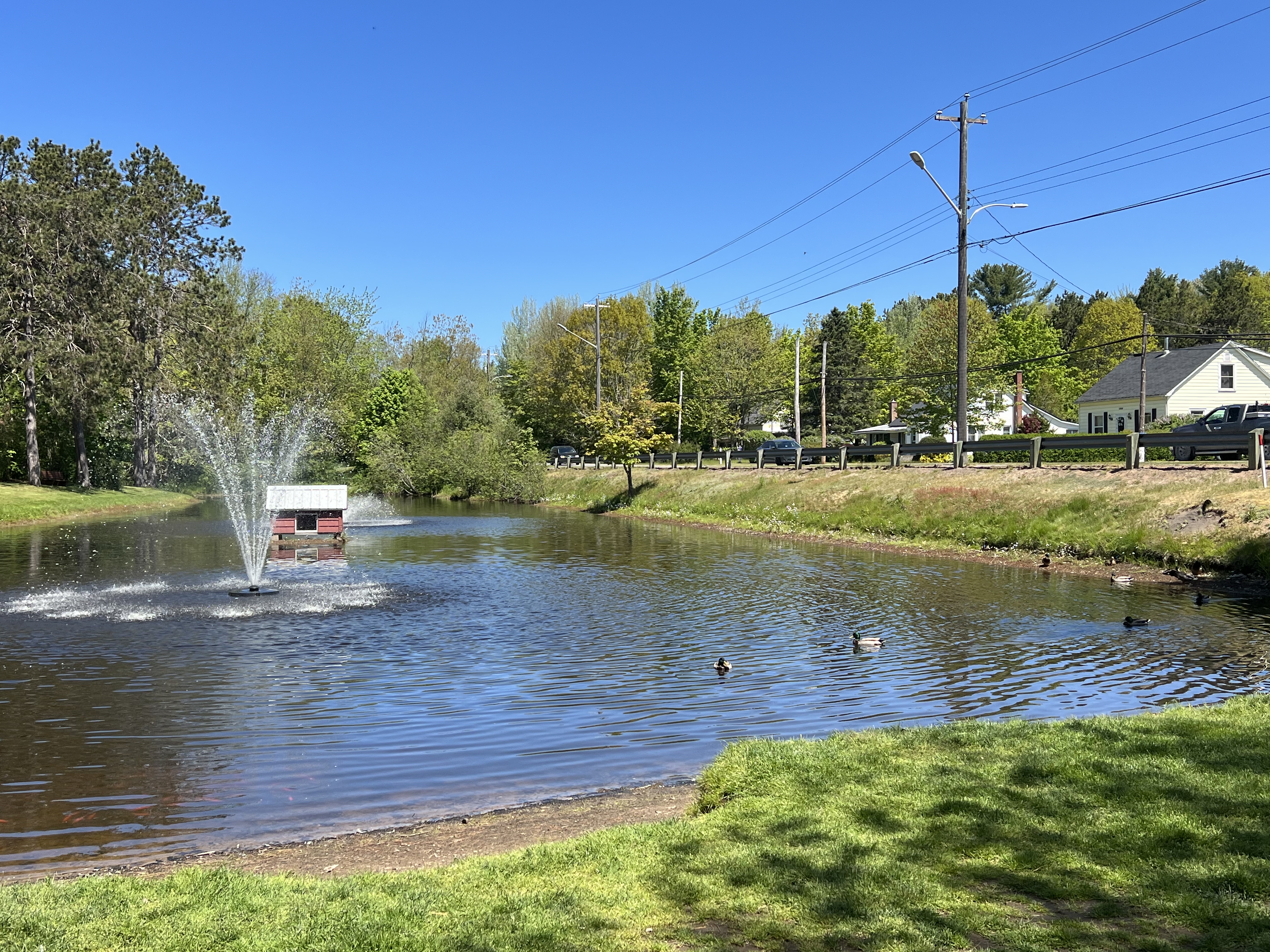 Stronach Park - Kingston