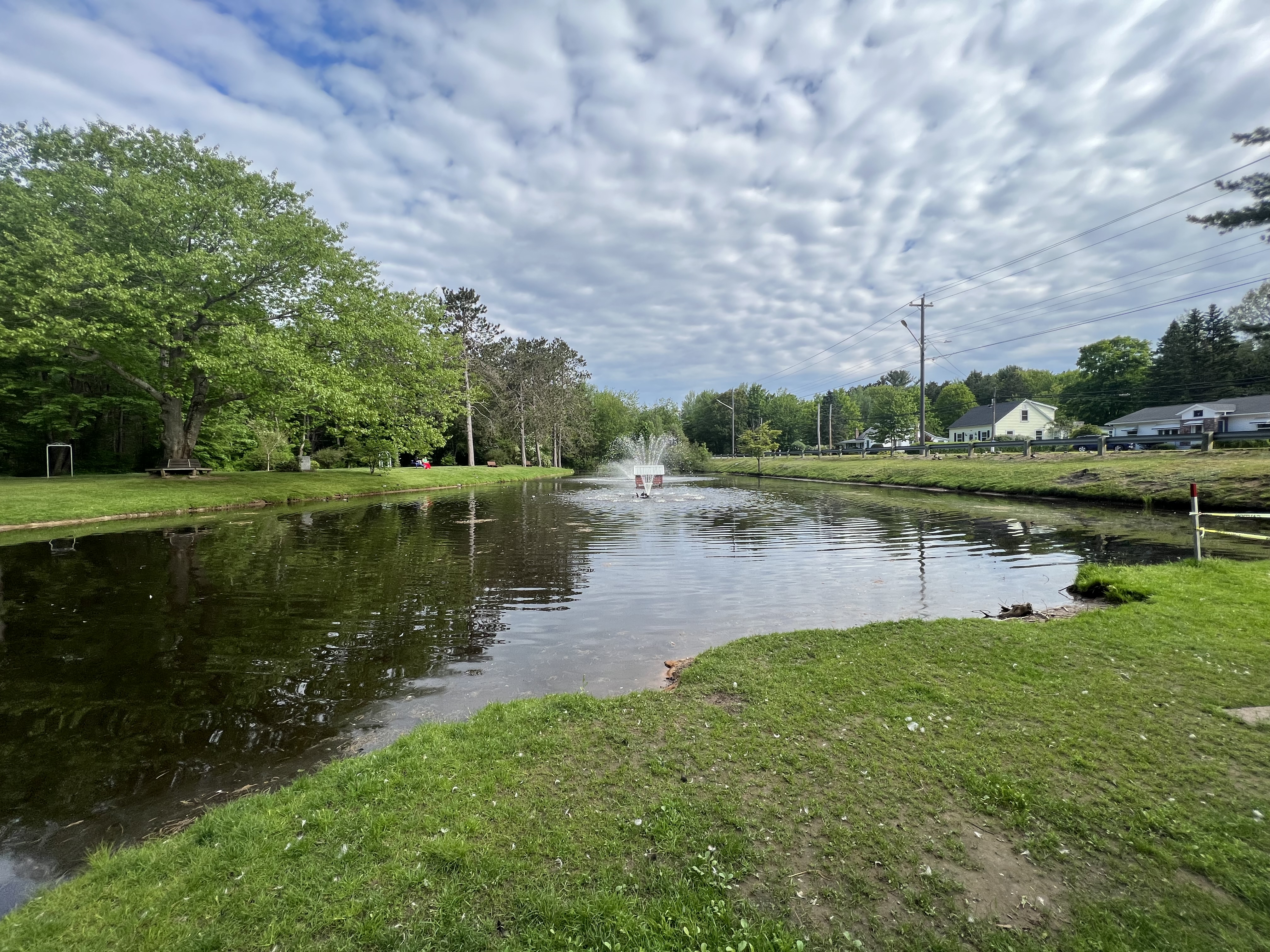 Stronach Park, Kingston