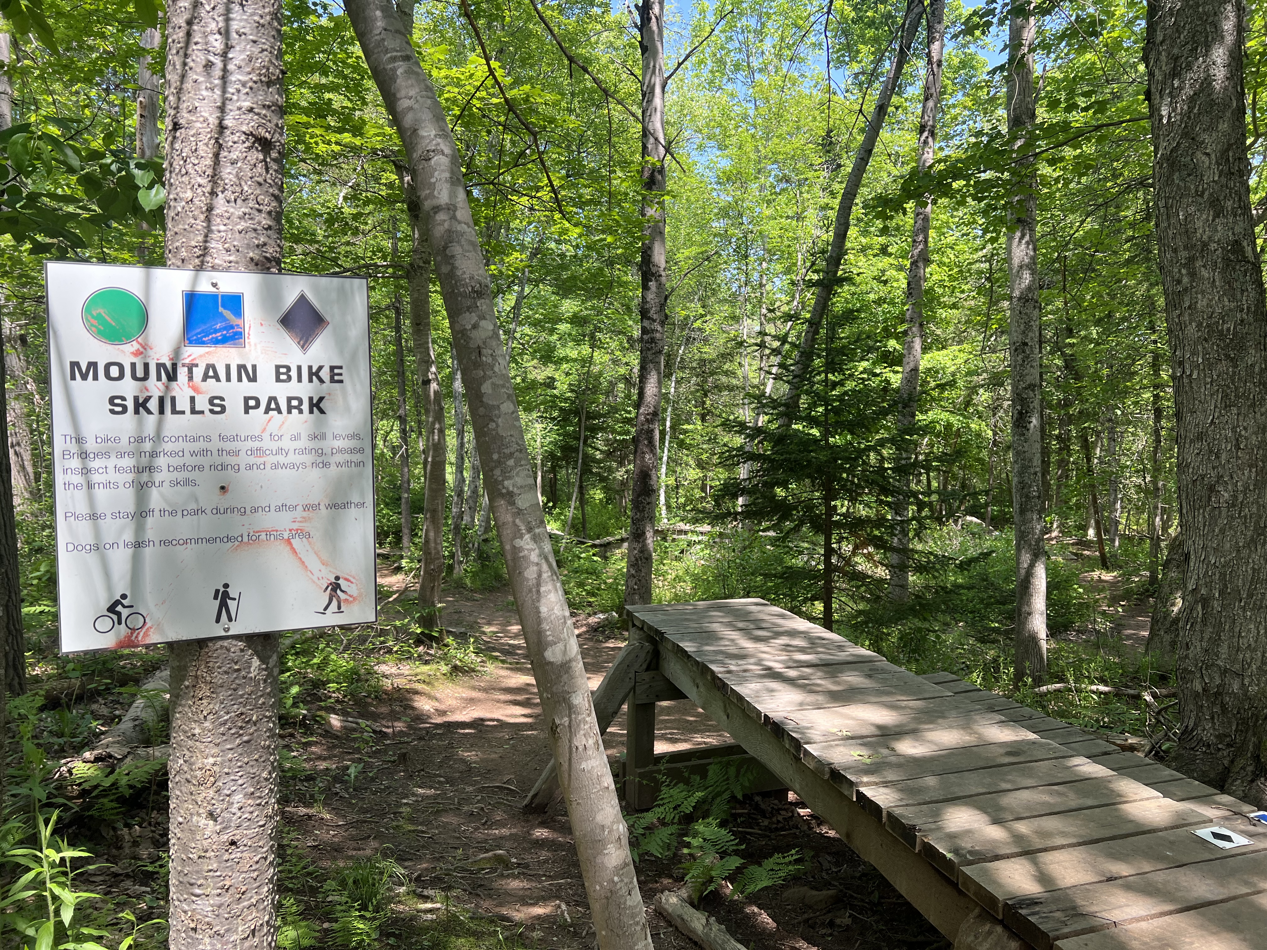 Mountain Bike Skills Park Reservoir Park - Wolfville